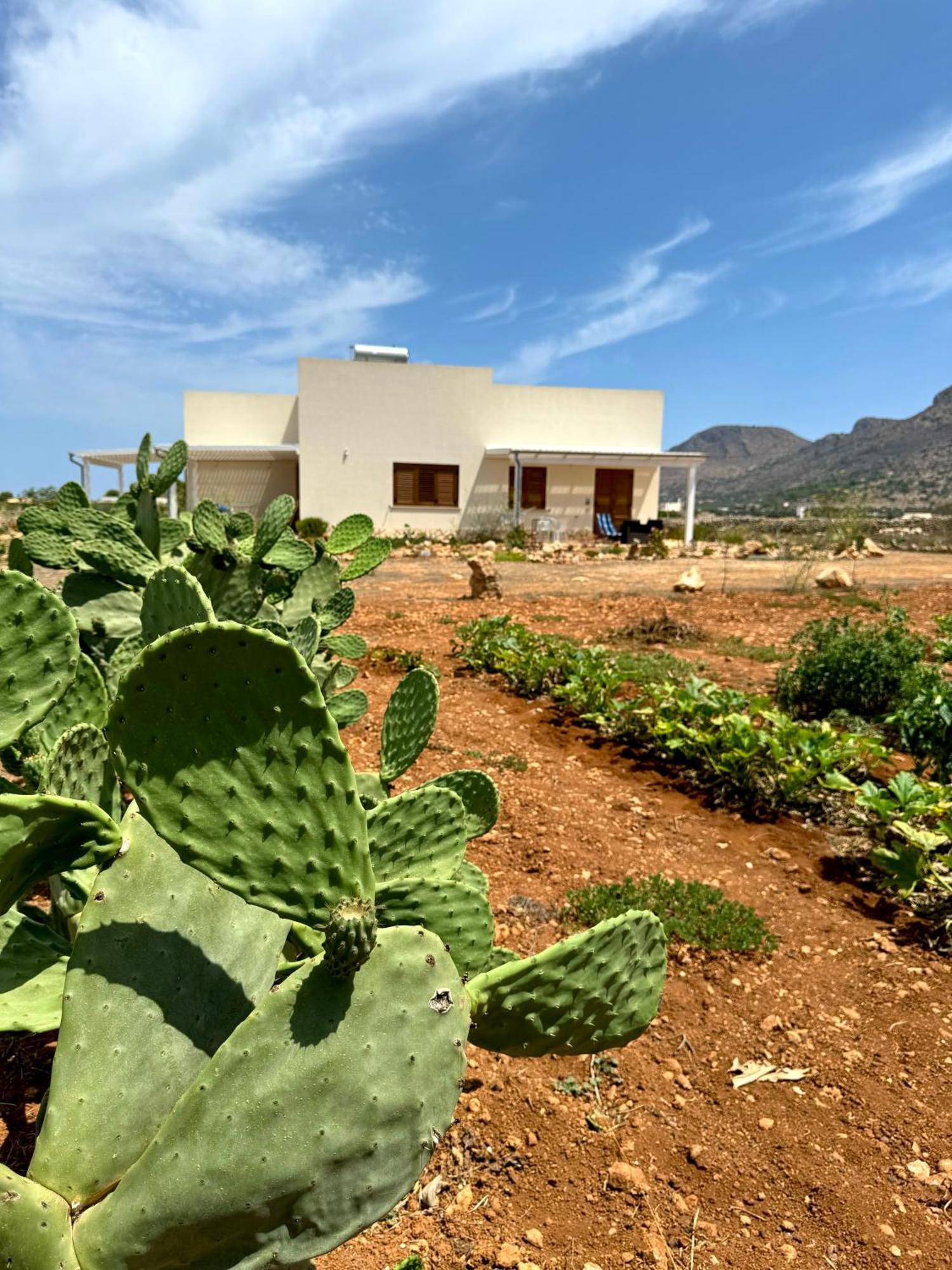 Aria Case Vacanze Favignana Exteriér fotografie