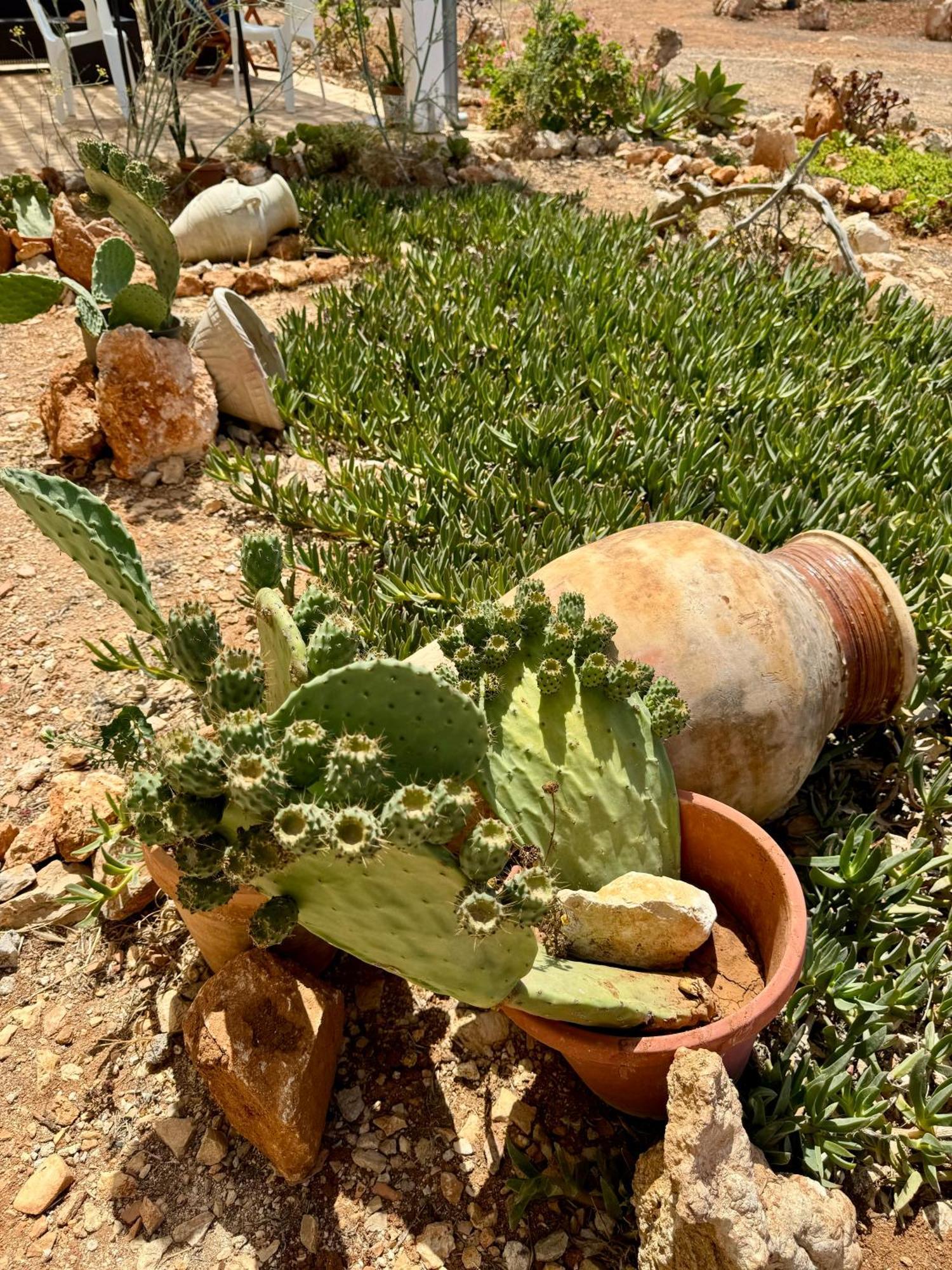 Aria Case Vacanze Favignana Exteriér fotografie
