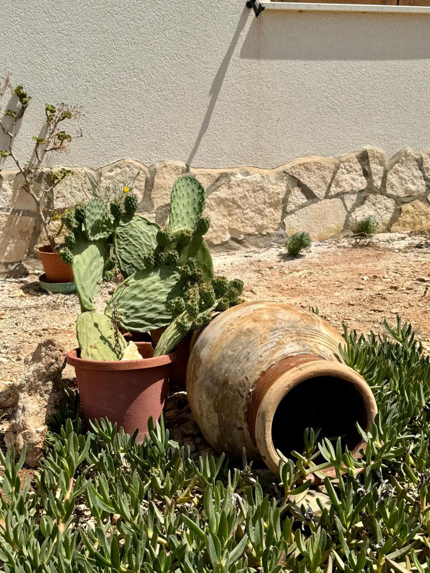 Aria Case Vacanze Favignana Exteriér fotografie